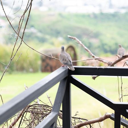 Hotel Pachamama Campestre Dosquebradas Eksteriør billede